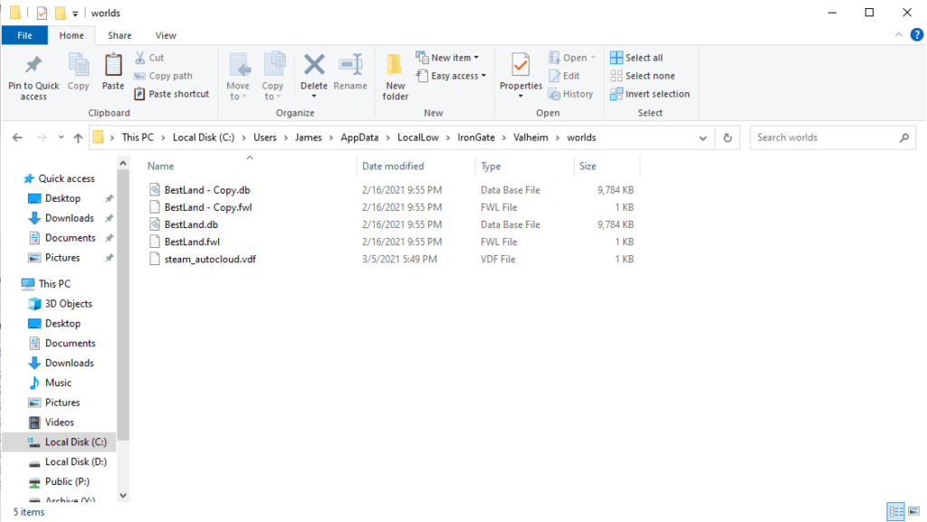 Valheim Local "worlds" Folder