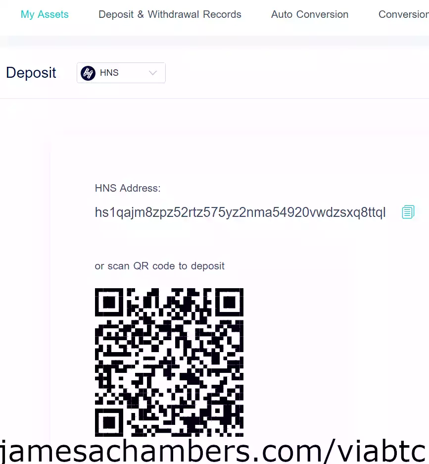 ViaBTC- HNS Deposit Address (taken at time of writing, still unchanged since original deposit)