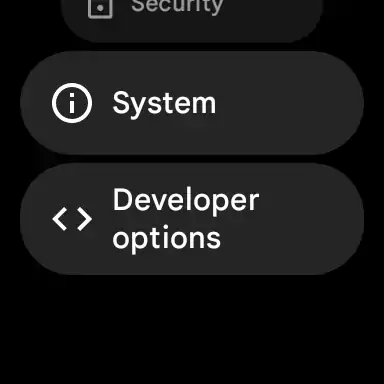 Google Pixel Watch - Developer Menu