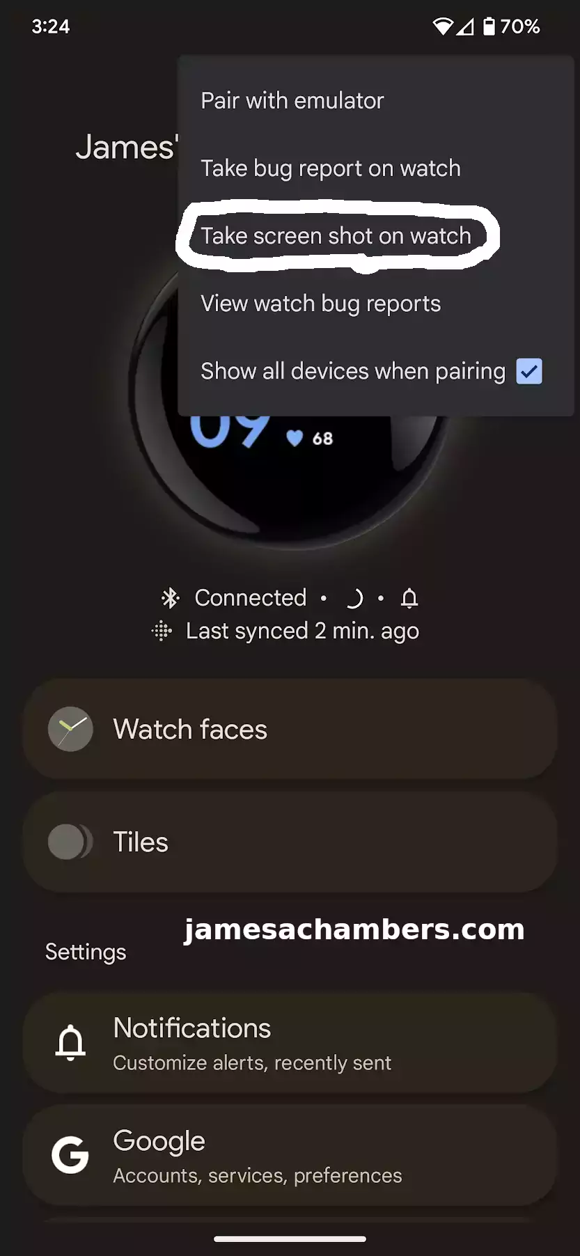 Google Pixel Watch - Take Screenshot