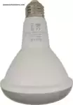 Kauf BR30 Smart Light Bulb