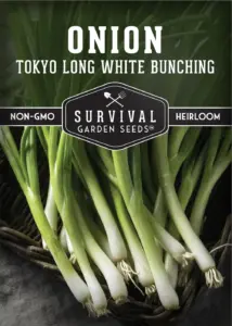 Survival Seeds - Tokyo Long White Bunching Onion