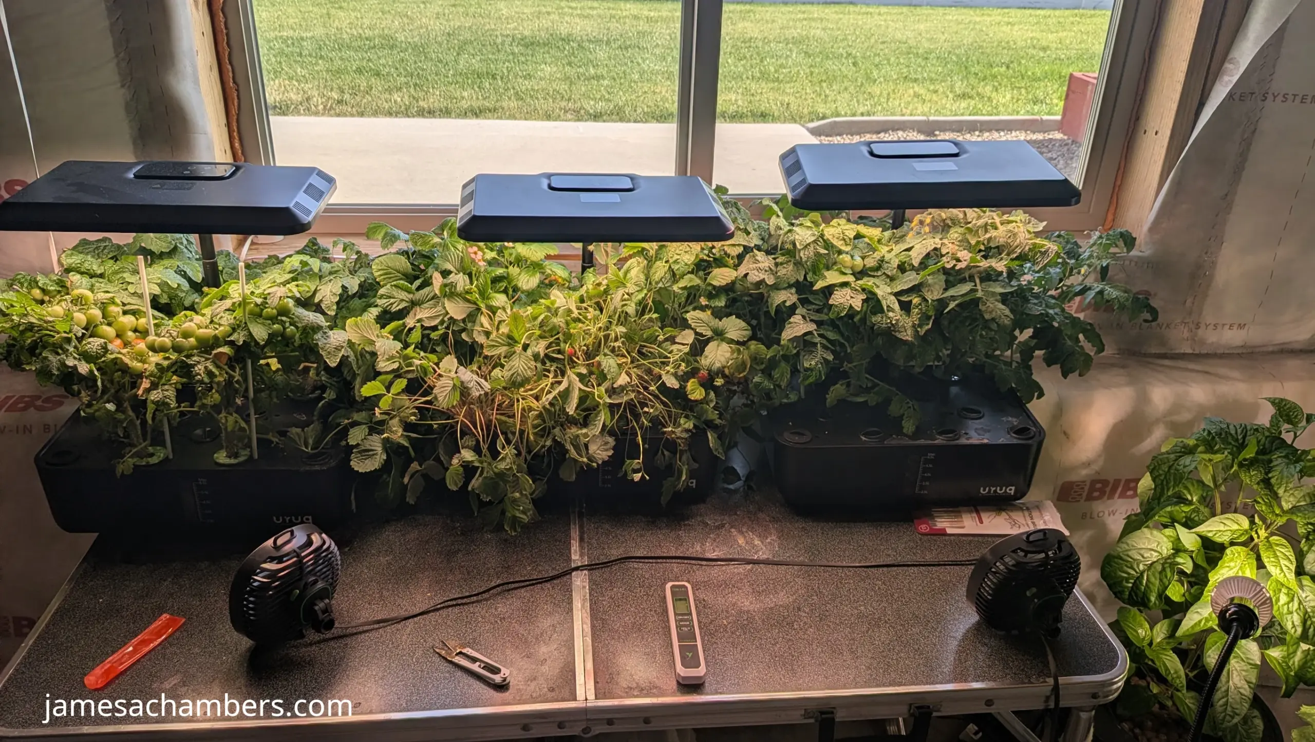 URUQ Table Setup By Window